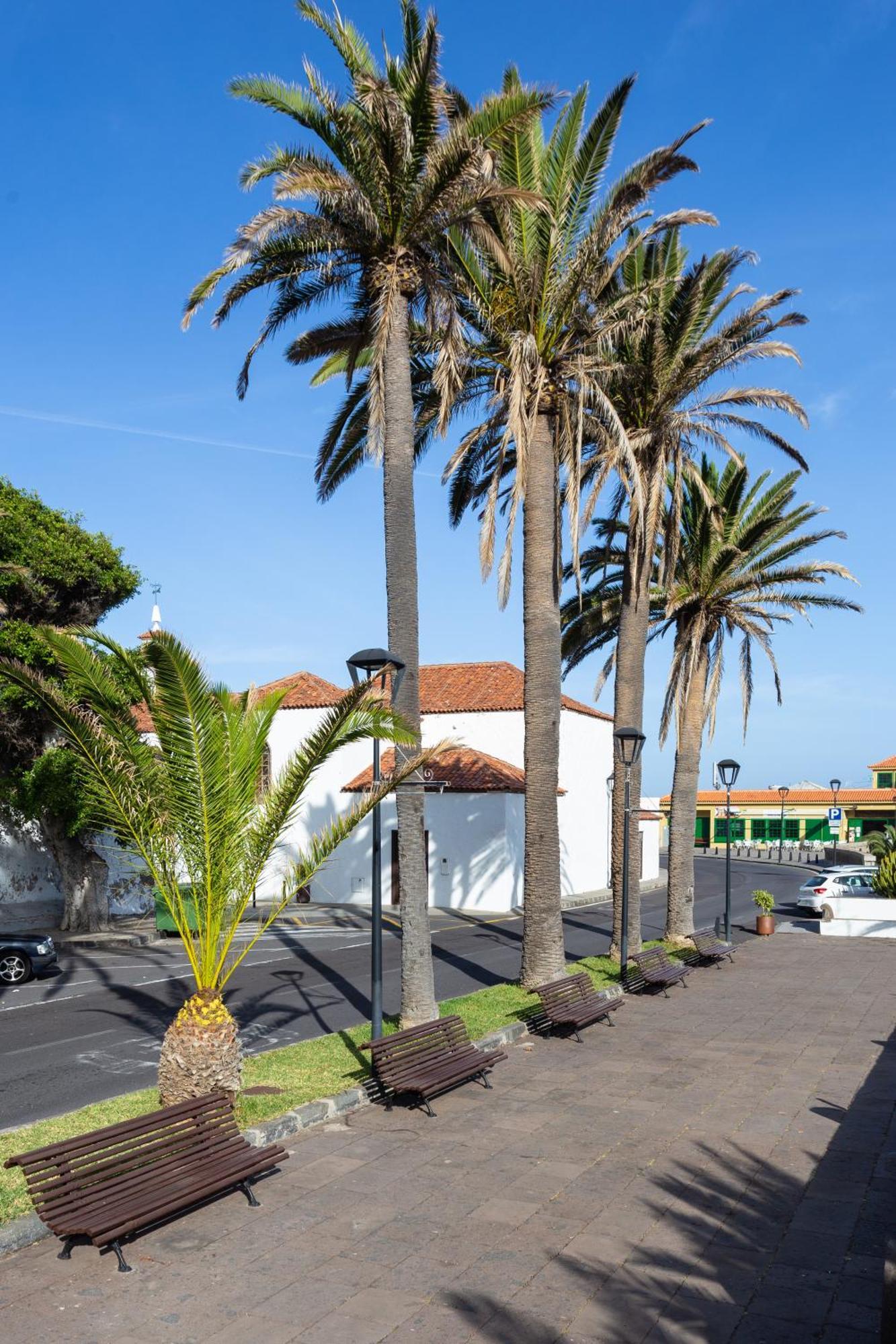 El Hostal Del Cubo San Juan de la Rambla Екстер'єр фото